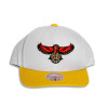 M&N NBA Atlanta Hawks Team 2 Tone 2.0 Snapback Cap ''White''