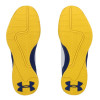 Under Armour JET LOW