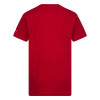 Air Jordan Flight Geo Graphic Kids T-Shirt ''Red''