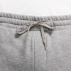 Air Jordan Jumpman Fleece Pants ''Carbon Heather''