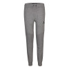 Air Jordan Wings Pants ''Grey''