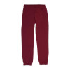 Air Jordan Jumpman Essentials Kids Pants ''Bordeaux''