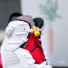 Air Jordan Retro VI "Hare''