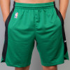 Nike Dry NBA Boston Celtics Practice Shorts ''Green''