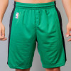 Nike Dry NBA Boston Celtics Practice Shorts ''Green''