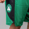 Nike Dry NBA Boston Celtics Practice Shorts ''Green''