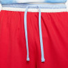 Nike Dri-FIT Classic Shorts ''University Red''