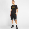 Nike Dri-FIT LeBron King Me T-Shirt ''Black''