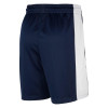 Air Jordan France Limited Road Shorts ''College Navy/White''