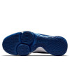 Nike Lebron Witness 5 ''Game Royal''