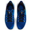 Nike Lebron Witness 5 ''Game Royal''