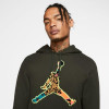 Air Jordan Animal Instinct Hoodie ''Sequoia''