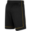 Nike Dri-FIT NBA Miami Heat City Edition Shorts