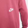 Nike Giannis Freak Hoodie ''Sweet Beet''