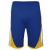 Nike NBA Golden State Warriors Icon Edition 2020 Swingman Kids Shorts ''Blue''