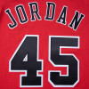 M&N Authentic Alternate Chicago Bulls Michael Jordan 1994-95 Jersey ''Scarlet''