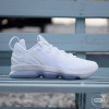 Nike Lebron Ice White