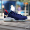 Nike Lebron XIV Low ''USA''