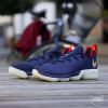 Nike Lebron XIV Low ''USA''