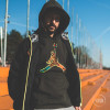 Air Jordan Animal Instinct Hoodie ''Sequoia''