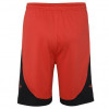 Nike NBA Houston Rockets Icon Edition 2020 Swingman Kids Shorts ''Red''