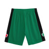 M&N Boston Celtics 2007-08 Swingman Shorts ''Kelly Green''