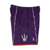 M&N NBA Toronto Raptors 1998-99 Swingman Shorts ''Purple''