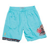 M&N NBA Vancouver Grizzlies 1996-97 Road Swingman Shorts ''Teal''