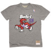 M&N NBA Toronto Raptors Vince Carter HWC Edition T-Shirt ''Grey''