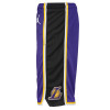 Air Jordan NBA Swingman Los Angeles Lakers Kids Shorts ''Purple''