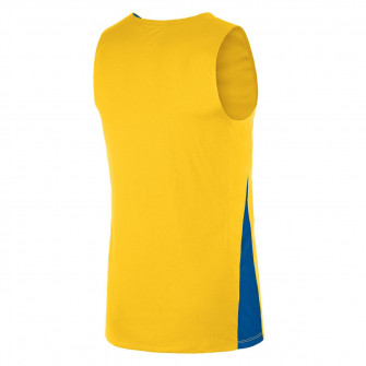 Dres Nike Team Basketball Stock ''Yellow''