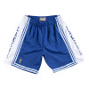 Kratke hlače M&N NBA Los Angeles Lakers 1996-97 Swingman ''Blue''