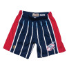 Kratke hlače M&N NBA Houston Rockets Road 1996-97 Swingman ''Blue''