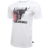 Kratka majica New Era NBA Logo Repeat Chicago Bulls ''White''
