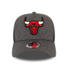 Kapa New Era Shadow Tech Trucker Chicago Bulls