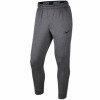 Trenirka Therma Training Pants