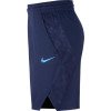 Kratke hlače Nike Elite ''Blue''