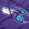 Nike Logo Charlotte Hornets 