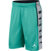 Kratke hlače Jordan Rise Graphic Basketball Shorts