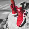 adidas Pro Bounce 2019 ''Scarlet''