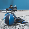 Air Jordan Legacy 312 Low ''Royal''