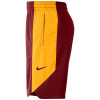 Kratke hlače Nike Dry NBA Cleveland Cavaliers Practice