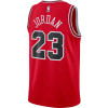Dres Nike Michael Jordan Icon Edition Swingman Jersey