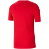 Kratka majica Nike Dri-FIT NBA Chicago Bulls ''University Red''