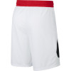 Kratke hlače Nike Dri-FIT Swoosh Basketball ''Red''