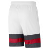 Kratke hlače Air Jordan Jumpman ''White/DK Smoke Gey/Gym Red''