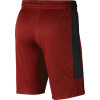 Air Jordan Dri-FIT Shorts ''Gym Red''