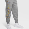 Trenirka Air Jordan Sport DNA Fleece ''Carbon Heather''