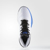 Adidas D. Rose 8 ''White & Blue'' 