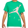 Kratka majica Air Jordan Jumpman Air Logo ''Stadium Green''